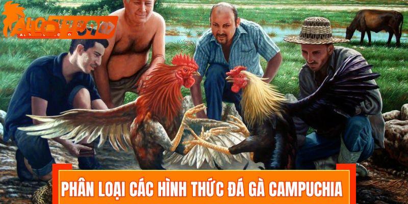 Phân loại các hình thức đá gà Campuchia 