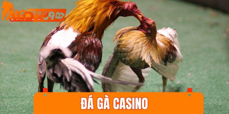 đá gà casino