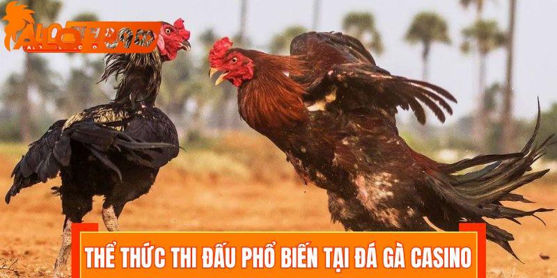 Các thể thức thi đấu phổ biến tại đá gà casino 